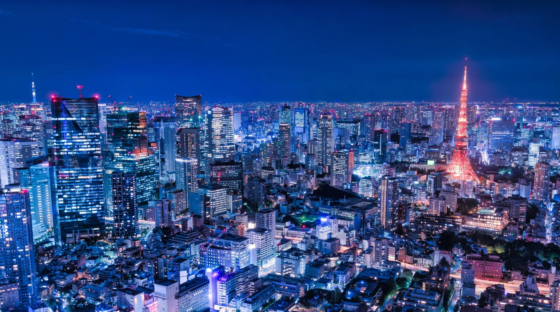 Biz Links株式会社
